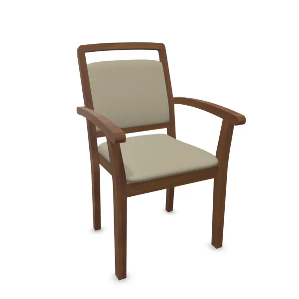 Scaun Ergonomic